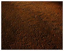 <i>Untitled III</i>
1996
C-print
73 x 88 inches; 185 x 224 cm