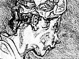 Lucian Freud