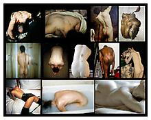 <i>The Back</i>
2011
Chromogenic print
45 x 57 inches; 114 x 145 cm