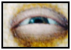 <i>The eye, Le Louvre</i>
2010
Chromogenic print
27 1/4 x 40 inches; 69 x 102 cm