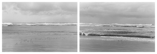 Robert Adams
On Any Given Day in Spring (IX A-B)
2007
Two gelatin-silver prints
Each image: 5 7/8 x 8 3/4 inches; 15 x 22 cm
Each sheet: 11 x 14 inches; 28 x 36 cm