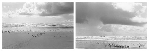 <i>On Any Given Day in Spring (XV A-B)</i>
2007-2009   
Two gelatin-silver prints 
Each image: 5 7/8 x 8 7/8 inches; 15 x 23 cm   
Each sheet: 11 x 14 inches; 28 x 36 cm