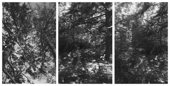 <i>Light Balances (III A-C)</i>
2002-2004   
Three gelatin-silver prints 
Image a: 11 3/4 x 7 7/8 inches; 30 x 20 cm   
Image b: 11 3/4 x 7 7/8 inches; 30 x 20 cm   
Image c: 12 x 7 3/4 inches; 31 x 20 cm
Each sheet: 14 x 11 inches; 36 x 28 cm
