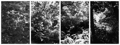 <i>Light Balances (XII A-D)</i>
2008-2011   
Four gelatin-silver prints 
Each image: 7 7/8 x 5 1/4 inches; 20 x 13 cm   
Each sheet: 14 x 11 inches; 36 x 28 cm