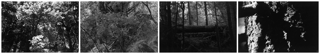 <i>Light Balances (XIII A-D)</i>
2011   
Four gelatin-silver prints 
Image a: 5 7/8 x 8 3/4 inches; 15 x 22 cm   
Image b: 5 3/4 x 8 3/4 inches; 15 x 22 cm   
Image c: 5 3/4 x 8 5/8 inches; 15 x 22 cm   
Image d: 5 5/8 x 8 3/4 inches; 14 x 22 cm   
Each sheet: 11 x 14 inches; 28 x 36 cm