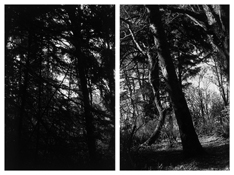 <i>Light Balances (XV A-B)</i>
2011   
Two gelatin-silver prints 
Each image: 7 7/8 x 5 1/4 inches; 20 x 13 cm   
Each sheet: 14 x 11 inches; 36 x 28 cm