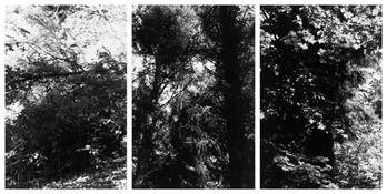 <i>Light Balances (XIX A-C)</i>
2011   
Three gelatin-silver prints 
Each image: 7 7/8 x 5 1/4 inches; 20 x 13 cm   
Each sheet: 14 x 11 inches; 36 x 28 cm