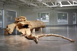 Charles Ray at the Art Institute of Chicago