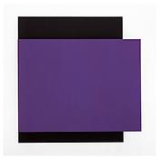 <i>Purple Relief Over Black</i>
2002
Oil on canvas, two joined panels
80 x 77 1/2 x 2 5/8 inches; 203 x 197 x 7 cm