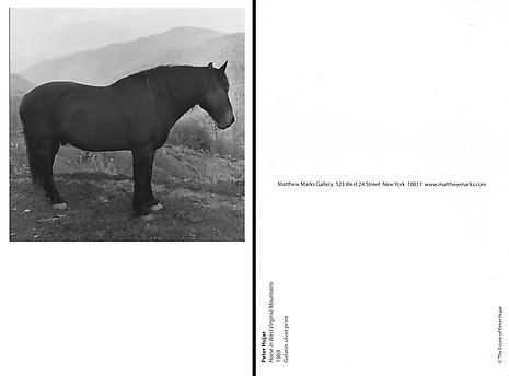 Horse in West Virginia Mountains
1969
Gelatin silver print