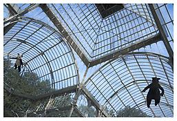 <i>Rat and Bear (Flying)</i>
2008-2009
2 Stuffed dolls with metal skeleton structure, painted steel
Overall: 19 ft. 8 in.; 599.5 cm
Installation View, Palacio Cristal, Madrid