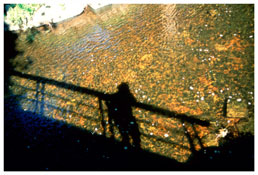 <i>Self-portrait on bridge at golden river, Silver Hill</i>
1998
Cibachrome
30 x 40 inches; 76 x 102 cm