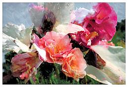<i>Untitled</i>
1997-98
Inkjet print
 29 1/8 x 42 1/8 inches; 74 x 107 cm