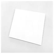 <i>White Panel</i>
1996
Oil on canvas
54 7/8 x 55 3/4 inches; 139.4 x 141.6 cm