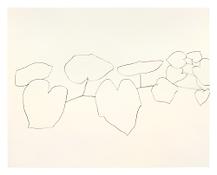 <i>Wild Grape</i>
1960
Graphite on paper
22 9/16 x 28 1/2 inches; 57.5 x 72.5 cm