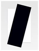 <i>Black Diagonal</i>
2007
Oil on canvas, two joined panels
103 1/4 x 56 5/8 inches; 262 x 144 cm