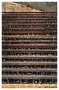 <i>Fukuyama</i>
2004
C-print mounted on Plexiglas in artist's frame
120 1/4 x 81 1/2 inches; 305 x 207 cm
