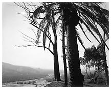 <i>Redlands, Looking Toward Los Angeles, California</i>
1983
Gelatin-silver print
16 x 20 inches; 40.5 x 51 cm