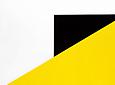Ellsworth Kelly