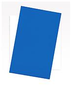 <i>Blue Diagonal</i>
2008
Oil on canvas, two joined panels
86 5/8 x 61 1/8 x 2 5/8 inches; 220 x 155.3 x 6.7 cm