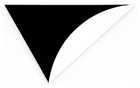 <i>Black Relief with White</i>
2011
Oil on canvas, two joined panels
54 1/4 x 90 x 2 5/8 inches; 138 x 229 x 7 cm
