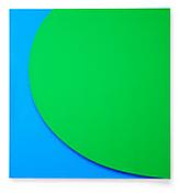<i>Green Relief with Blue</i>
2011
Oil on canvas, two panels
70 x 67 x 2 5/8 inches; 178 x 170 x 7 cm
