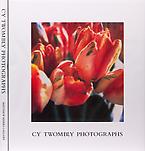 Cy Twombly