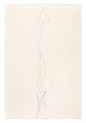 <i>Tulip</i>
1991
Graphite on paper
30 1/8 x 20 1/16 inches; 77 x 51 cm