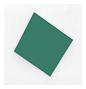 <i>Green Panel</i>
1996
Oil on canvas
63 5/8 x 58 1/2 inches; 162 x 149 cm