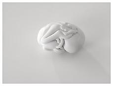 Charles Ray
<i>Handheld Bird</i>
2006
Painted steel
2 x 4 x 3 inches; 5 x 10 x 8 cm