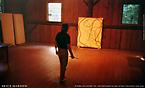 Brice Marden