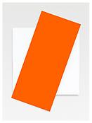 <i>Orange Diagonal</i>
2008
Oil on canvas, two joined panels
87 1/4 x 60 inches; 227 x 152 cm