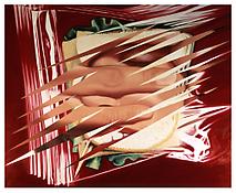 James Rosenquist
<i>Embrace 2</i>
1983
Oil on canvas
66 x 78 1/4 inches; 168 x 199 cm