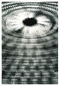 <i>PCF, Paris</i>
2003
C-print on mounted Plexiglas in artist's frame
116 x 81 1/2 inches; 295 x 207 cm