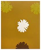 <i>Meadow Sod</i>
2003
Enamel on aluminum
48 x 39 inches; 122 x 99 cm
