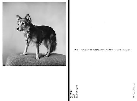 <i>Fanny</i>
1978
Gelatin silver print