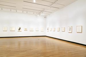 Ellsworth Kelly curates Matisse Drawings at Mount Holyoke College Art Museum