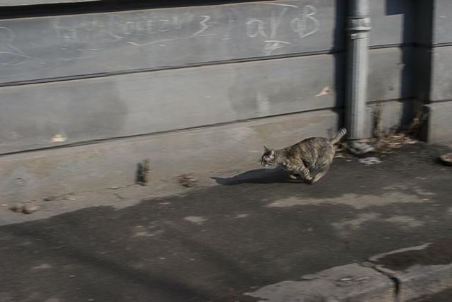 slideshow image 15