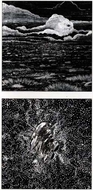 works image 0