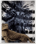 works image 4