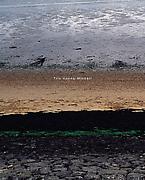 splash image