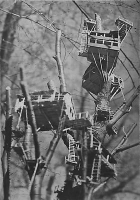 Tree dwellings, 2003
photogravure on Somerset Soft White paper
85,72 x 59,05 cm
edition of 8
3,500. € including tax