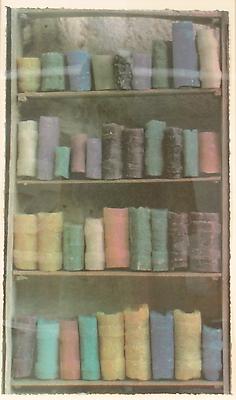 <i>Soap Bookshelves, 2004</i>
gum print on Somerset white paper
triptych, each 58,4 x 35,6 cm
5.300 € including tax