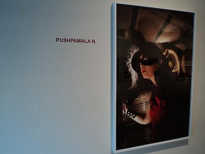 Pushpamala N.-