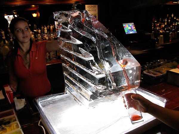 Double Track Ice Slide