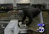Eyewitness News