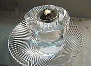 Ice Wares