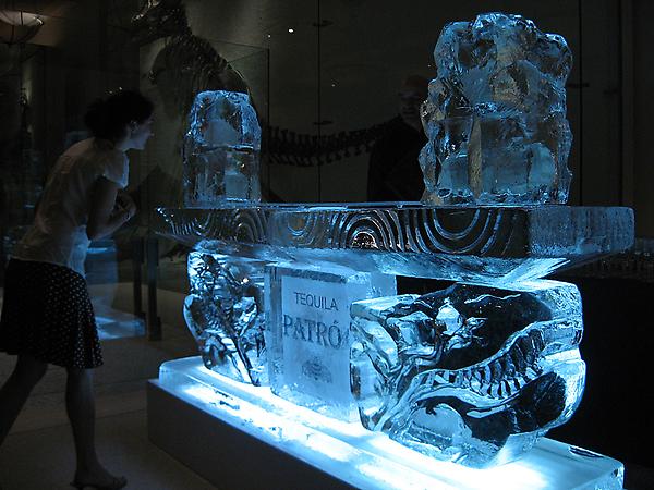 Patron Ice Bar
Museum of Natural History, NY