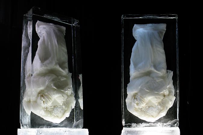Wedding Dress Frozen