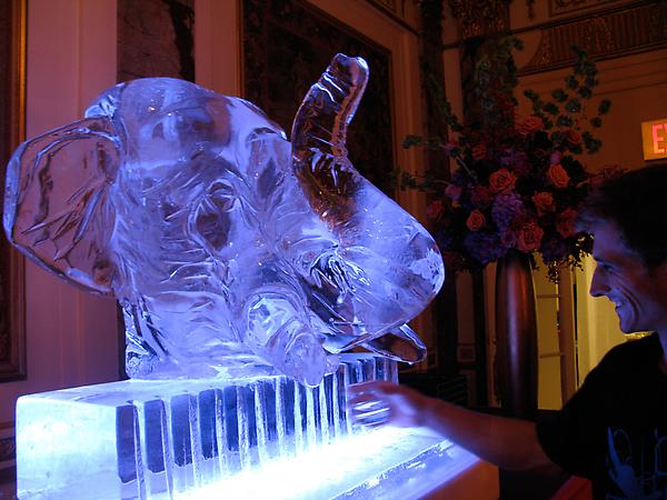 Elephant Head Luge
Plaza Hotel, NY